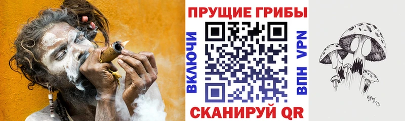 Галлюциногенные грибы GOLDEN TEACHER  закладки  Сланцы 