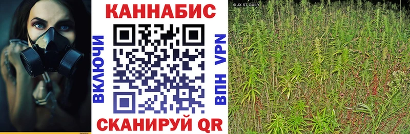 как найти   Сланцы  МАРИХУАНА Ganja 